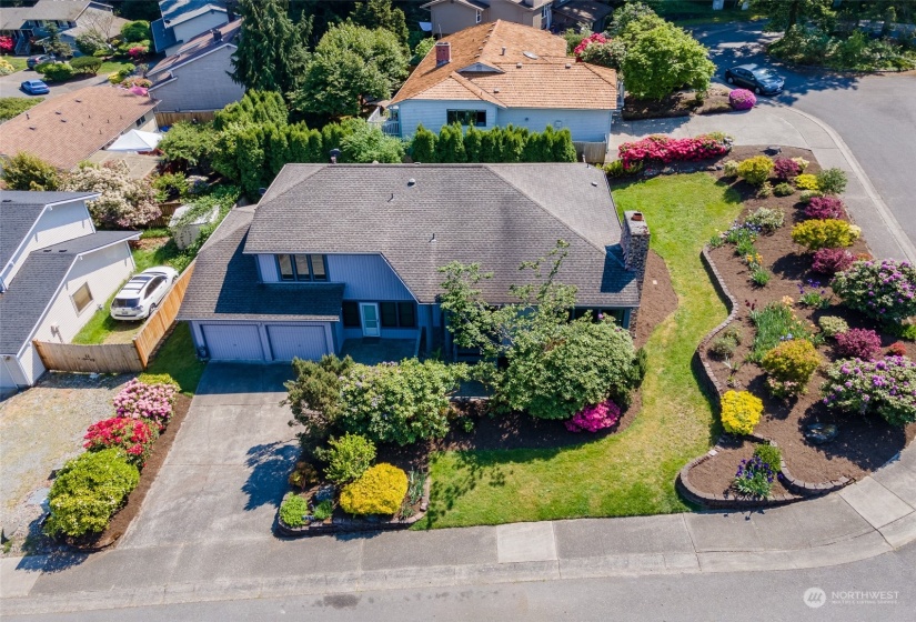 213 325th Place, Federal Way, Washington 98023, 4 Bedrooms Bedrooms, ,1 BathroomBathrooms,Residential,For Sale,West Campus Div 1,325th,NWM2076988