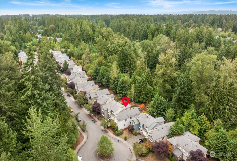 8150 233 Place, Redmond, Washington 98053, 3 Bedrooms Bedrooms, ,1 BathroomBathrooms,Residential,For Sale,The Trails,233,NWM2165222